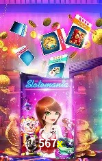 Sistemas de Segurança 567x